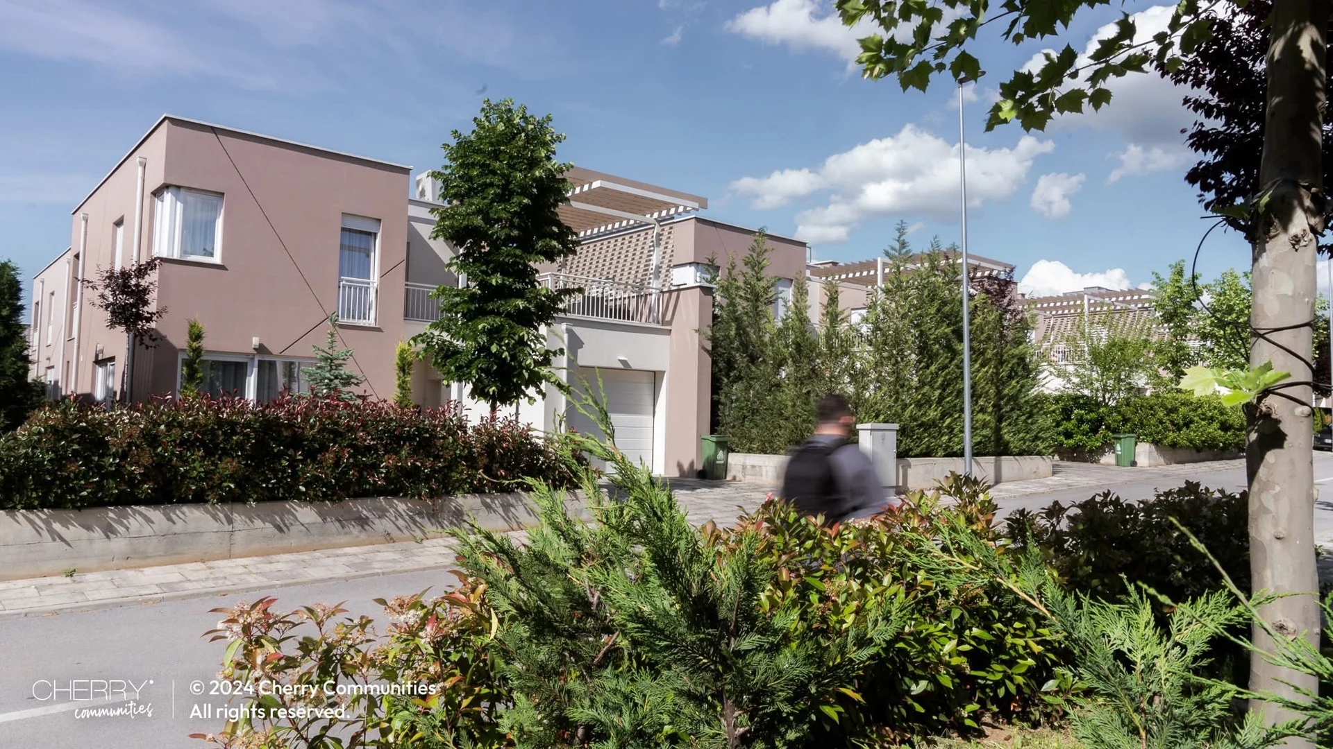 Cherry residential streetscape with gardens, homes and shaded outdoor space