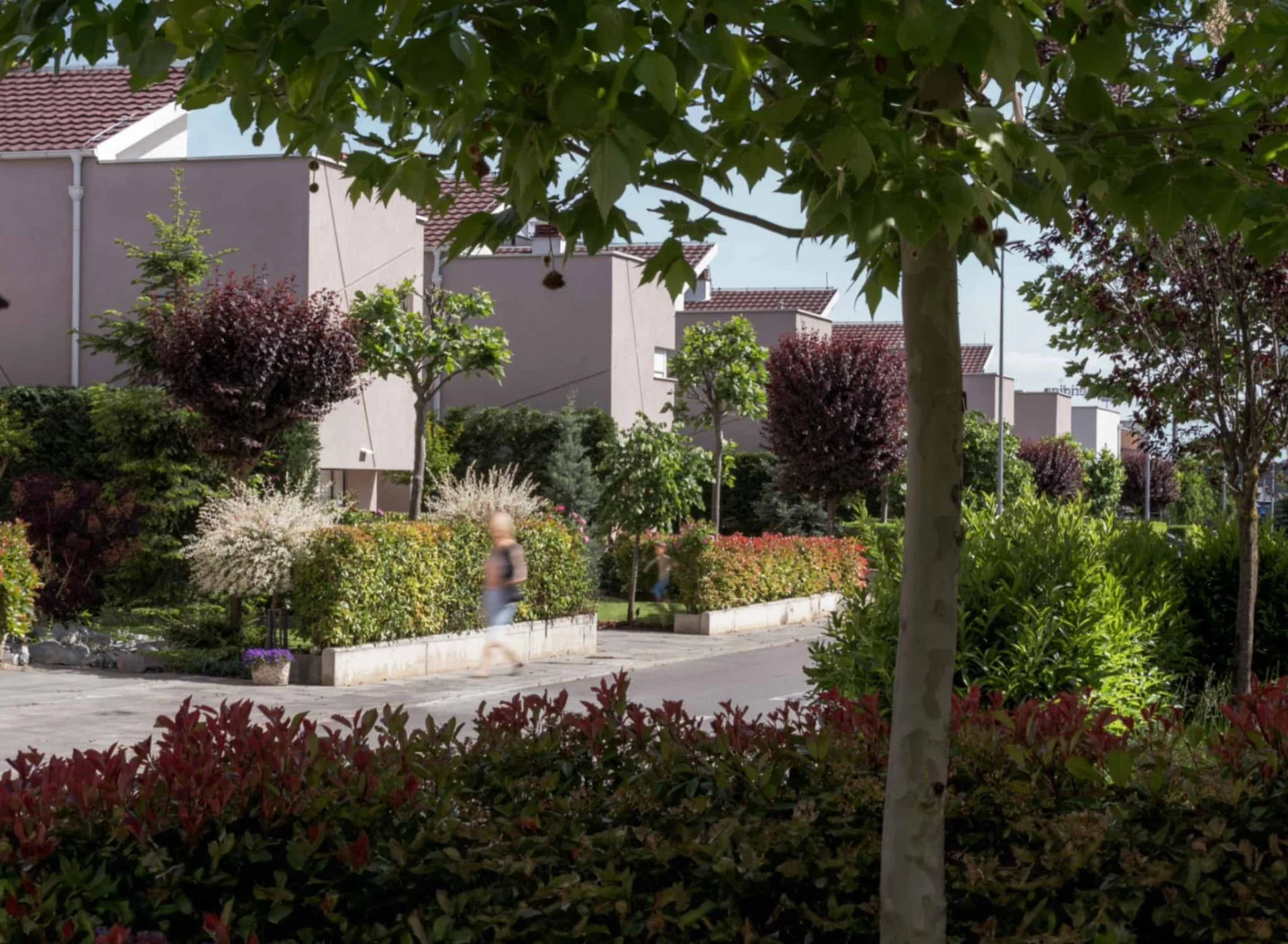 Cherry garden homes framed by mature trees